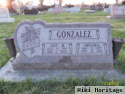 Jose M Gonzalez