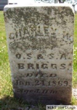 Charley W. Briggs