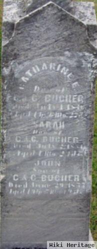 Catharine E Bucher