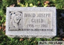 David J Guild