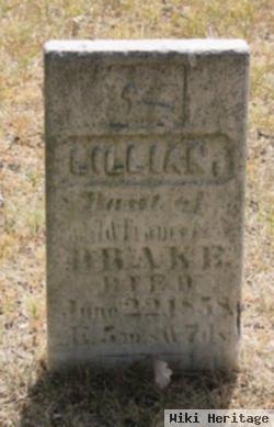 Lillian Drake