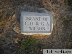 Infant Wilson