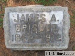 James A. Briscoe