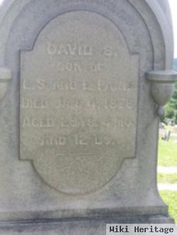 David S Paine