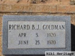 Richard B.j. Goldman