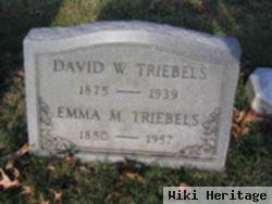 Emma M Triebels