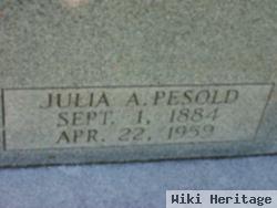 Julia A. Pesold Nash