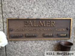 Catharine Aletha Tiger Palmer