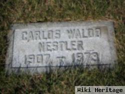 Carlos Waldo Nestler