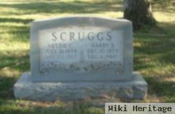 Harry S Scruggs