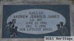 Andrew Jerrold James Gallas