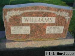 David Evans Williams