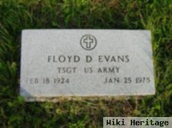 Floyd Dewitte Evans