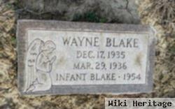 Wayne Blake