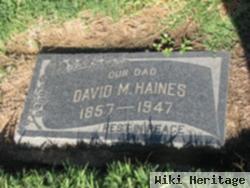 David M. Haines