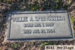 Ann E. "willie" Bethards Springsteen