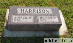 Michael R Harrison