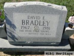 David E Bradley