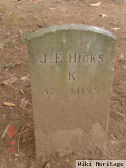 John Ellis Hicks