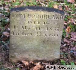 Lydia P Dorland