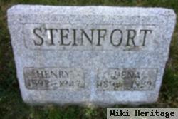 Dena G Steinfort