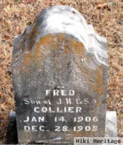 Fred Collier