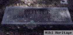 George Potter