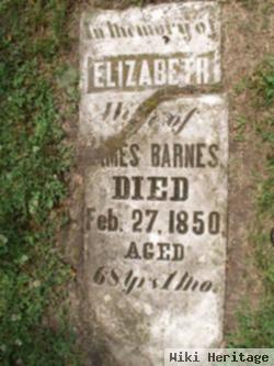 Elizabeth Barnes