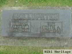 Albert Jay Hollopeter