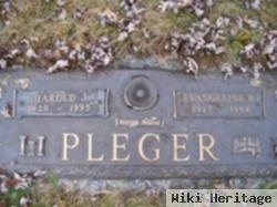 Harold J "pud" Pleger