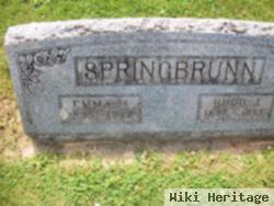 Hugo J Springbrunn