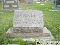 Mary Cecile Lesh Brickley