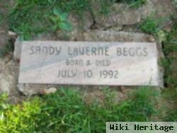 Sandy Laverne Beggs