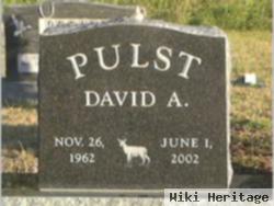 David Allen Pulst