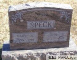 Mary Agnes Courtright Speck