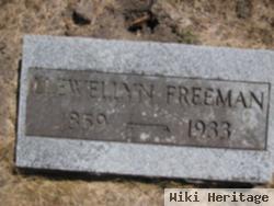 Llewellyn Freeman