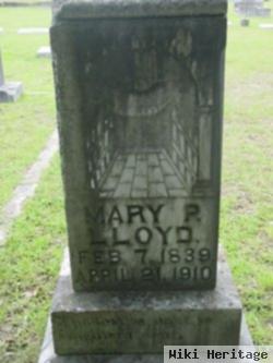 Mary P Lloyd