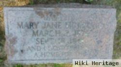 Mary Jane Mcintyre