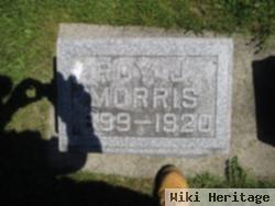 Roy J. Morris