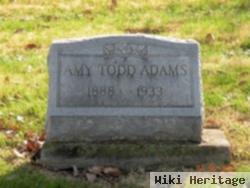 Amy Todd Adams