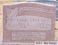 Gary Lane Vice