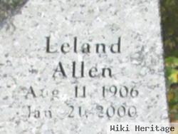 Leland Allen Johnston