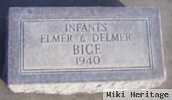 Elmer Bice