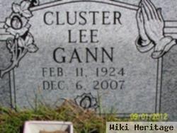 Cluster Lee Gann