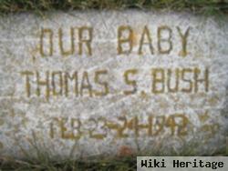 Thomas S Bush