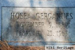 Hosea Gerganues