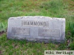 Harold A. Hammond