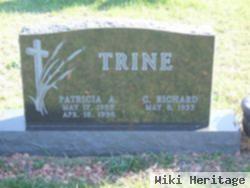 Patricia A. Dennis Trine