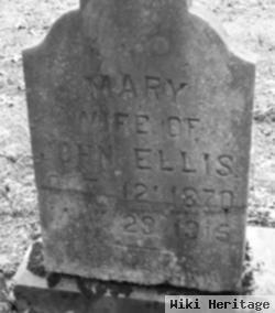 Mary E Mason Ellis