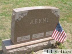 Dena Aerni